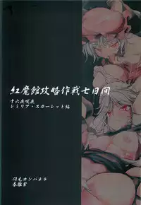 (C81) [Senkou Campanella (Haruhina Murasaki)] Koumakan Kouryaku Sakusen Nanokakan (Touhou Project)