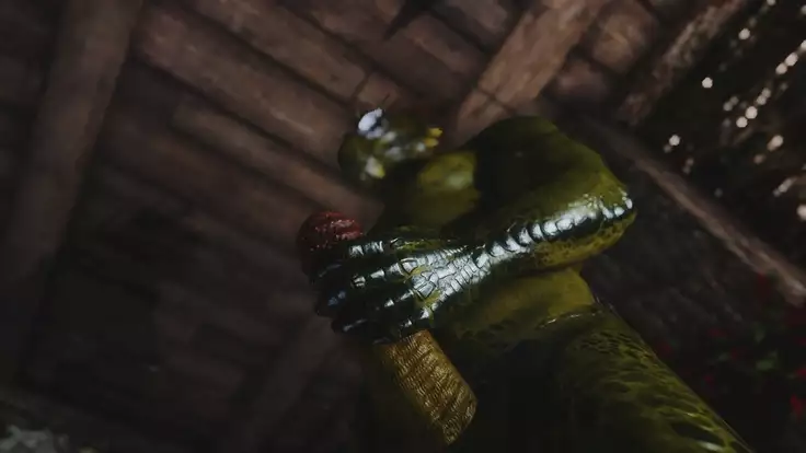 Skyrim Dragon-Whore and Argonian