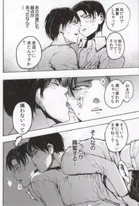 (C86) [Onjire (Tamy)] ONGRE2013 (Shingeki no Kyojin)