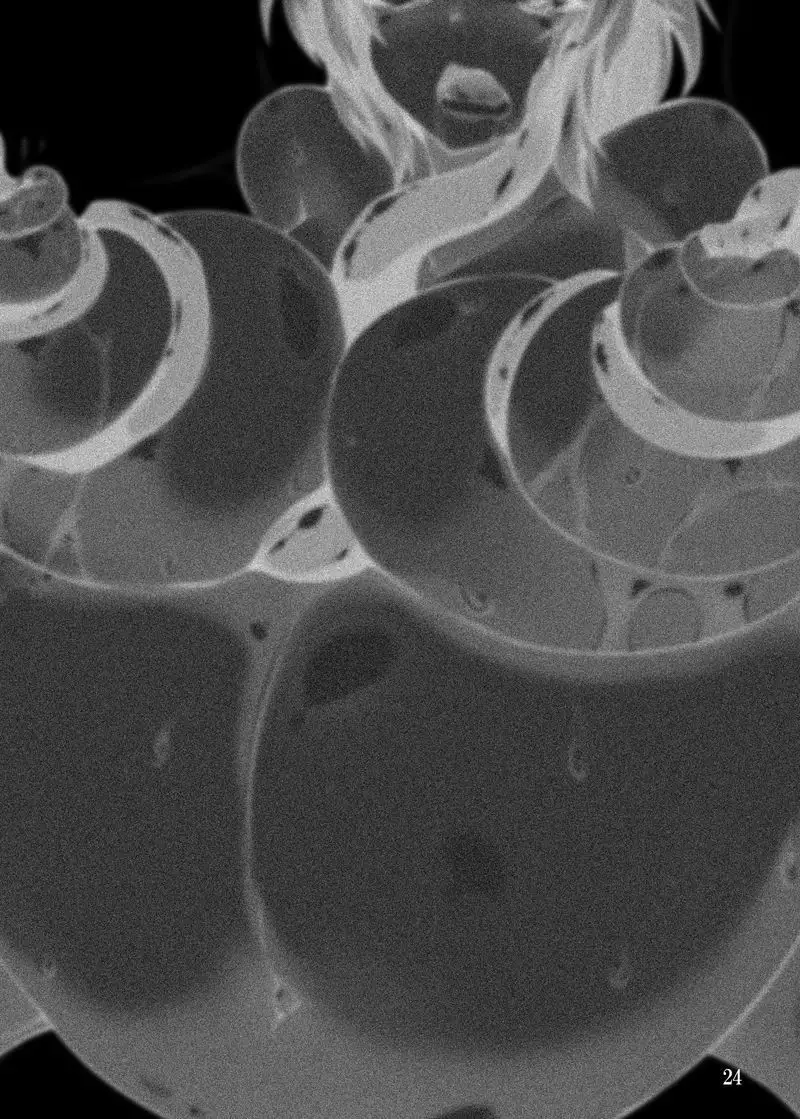 Shokushu Chireiden 2 ~Satori Kakuchou Kaihatsu~