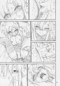 (C70) [EINSATZ GRUPPE (Charlie Nishinaka)] PRISONER 8 Miserable Birds (Gundam SEED DESTINY)