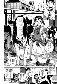 [Kaede Minoru] Cotton 100%