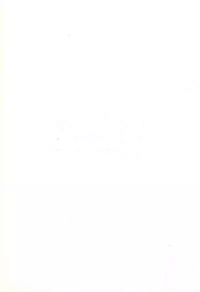 (C52) [MISTY MIDNIGHT (Shirasaka Miyu)] Kodochacchi (Kodomo no Omocha)