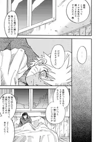 (Yarou Fes 2015) [Meishou Nantoka (Hatoko)] IruNaru no Wadachi (Naruto)