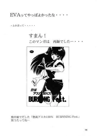 [Nakaumikan (Nakaumi Mikage)] SOLDIER GALS Limited (Street Fighter, Neon Genesis Evangelion)