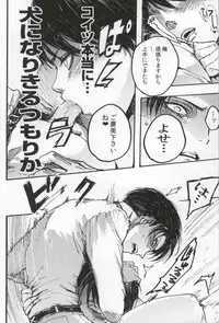 (C86) [Onjire (Tamy)] ONGRE2013 (Shingeki no Kyojin)