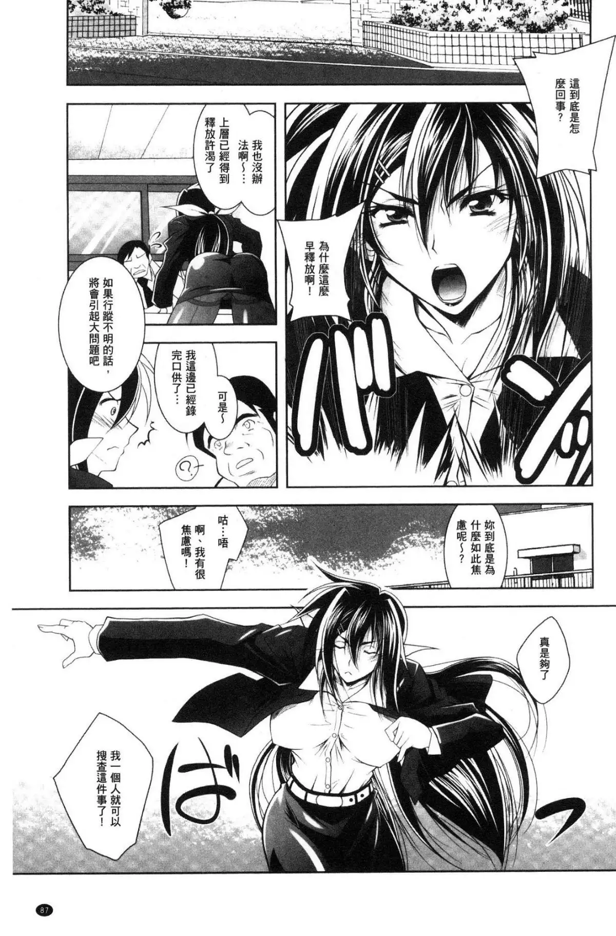 Fallen Justice -Seigi Shittsui-