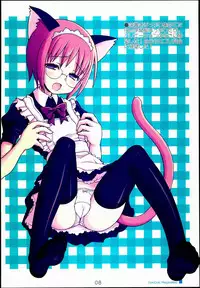 (C72) [Kimarinet (kimarin)] Dokidoki Meganekko!!