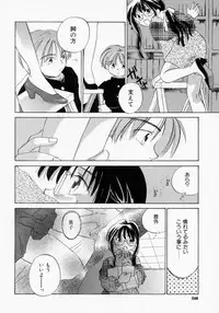 [Amanatsu Makoto] BOX