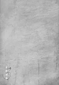 (C91) [Armament Calcium (Take Calcium)] Shinzen Shoufu (Touhou Project)