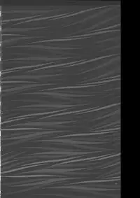 [Yamamoto Naoki] Gakkou