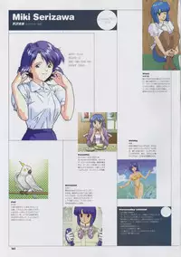 Super Real Mahjong Visual Fan Book Perfect Collection