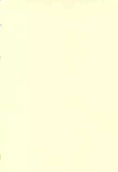 Boku to shishou no hajimete no.