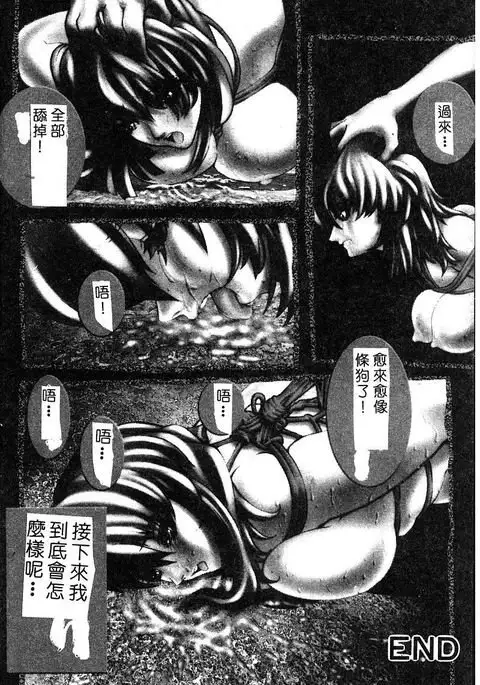 Himedorobow DELUXE Vol. 8