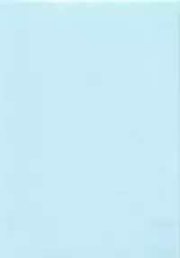 Daisenkou ~ Shin Dokuhime no Mitsu