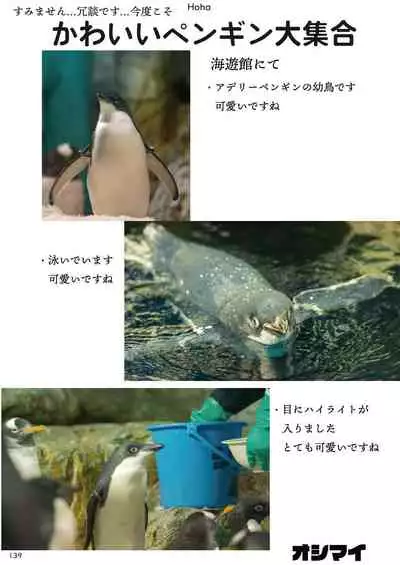 may Kemono Friends Thre Goudoushi