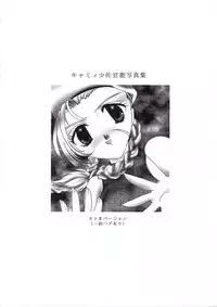 (CR22) [White Elephant (Various)] Cammy Sousa Kannou Shashinshuu (Street Fighter)