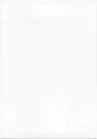 (C74) [PH (TAM)] Kagamin no Okuchi kara Love go Gecchu (Lucky Star)