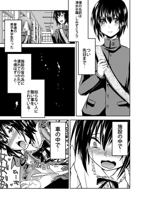 Berry Devily ~Josou Shounen Biyaku Chokyou Hen~