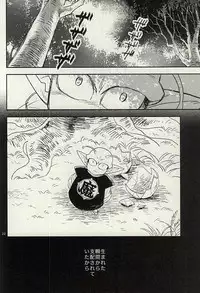 同じ星で生まれた (DRAGON BALL Z)