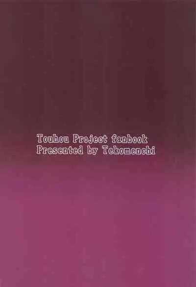(Meikasai 14) [Tekomenchi (Techi)] Patchouli Knowledge Kaihatsu Kiroku (Touhou Project)