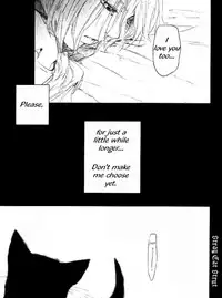 [NINEKOKS (Kyuugou)] Stray Cat Strut #5.5 (Full Metal Alchemist) [English]