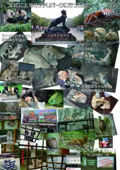 may Kemono Friends Thre Goudoushi 2