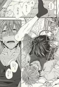 (SUPER24) [Birman (Pirupa)] Katekyo Gokko (Free!)