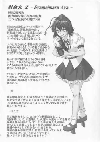 Triple Fighter Mitsudomoe