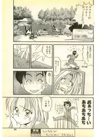 COMIC Papipo Gaiden 1995-11 Vol.17