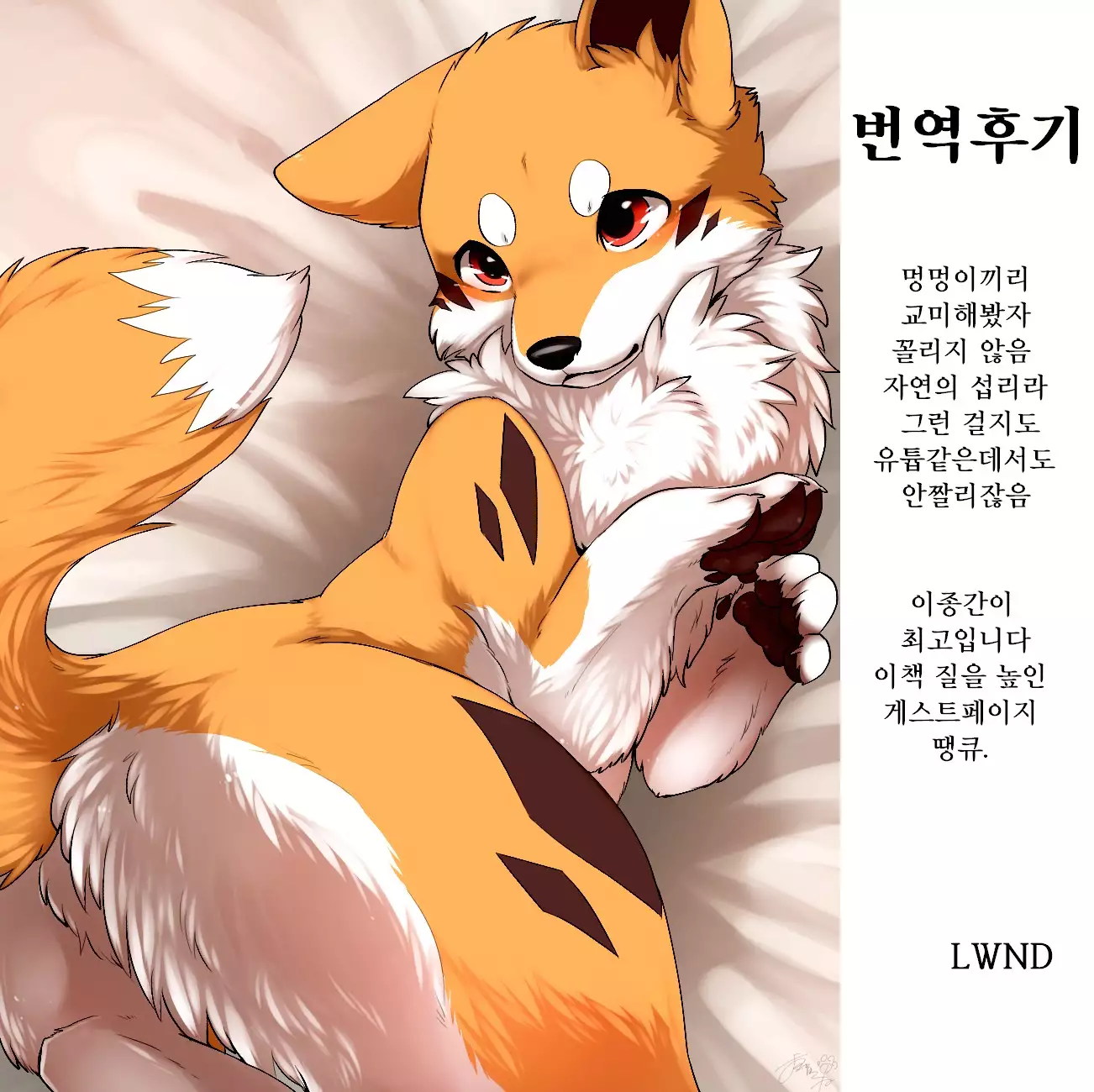 Kitsune Inu to Asobo! | 여우개 랑 놀자!