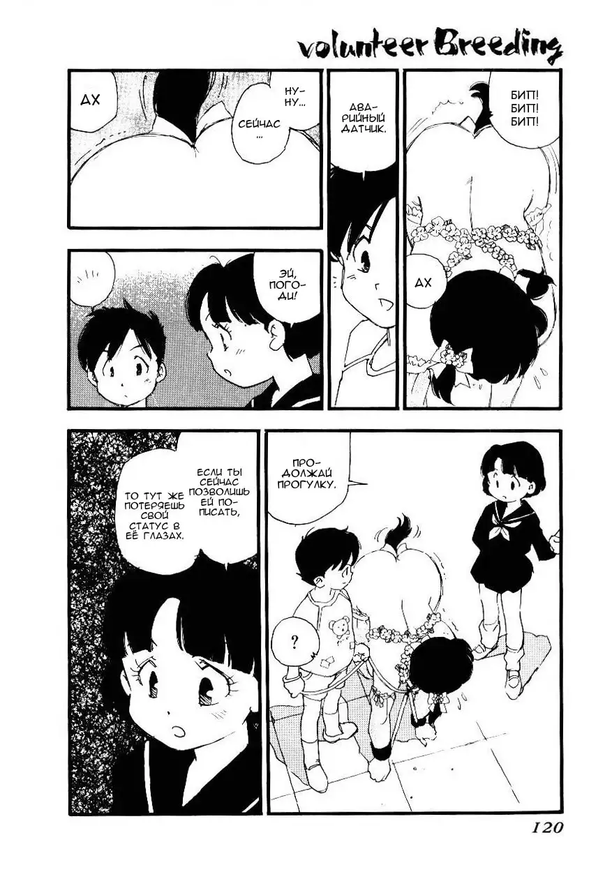 Volunteer Breeding Ch.6