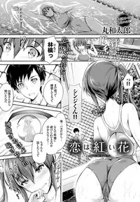 COMIC BAVEL 2015-04 [Digital]