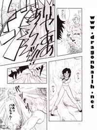 (C54) [Chirigami Goya, Fusuma go Ten (Shoji Hariko)] Tirinuruwo (DRAGON BALL)