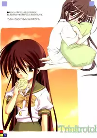 (C66) [Zangyaku Koui Teate (Nasake Muyou)] Trinitrotoluene (Shakugan no Shana)