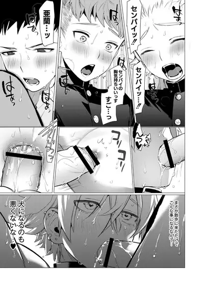 Yankee Ketsuman Ganbori Rape