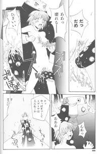 [5th Luna] Piri Piri