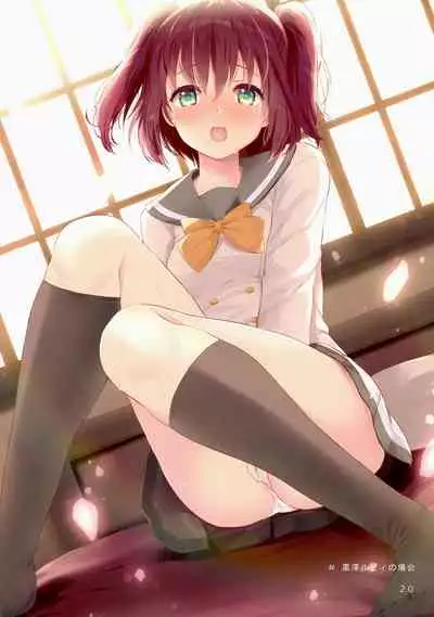 Wa, Wa Katte ni Haiccha dame da yo!!