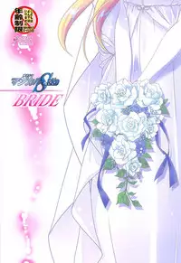 (Lyrical Magical 25) [PLUM (Kanna)] Magical SEED BRIDE (Mahou Shoujo Lyrical Nanoha)