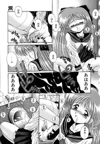 [Kamogawa Tanuki] INNOCENCE