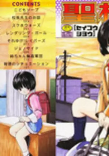 [Paint Robo] Seikousyou