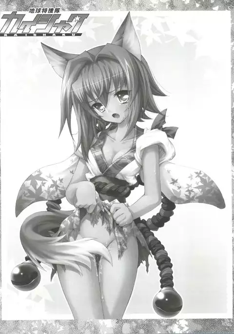 Chikyuu Tokusoutai Kaishaku