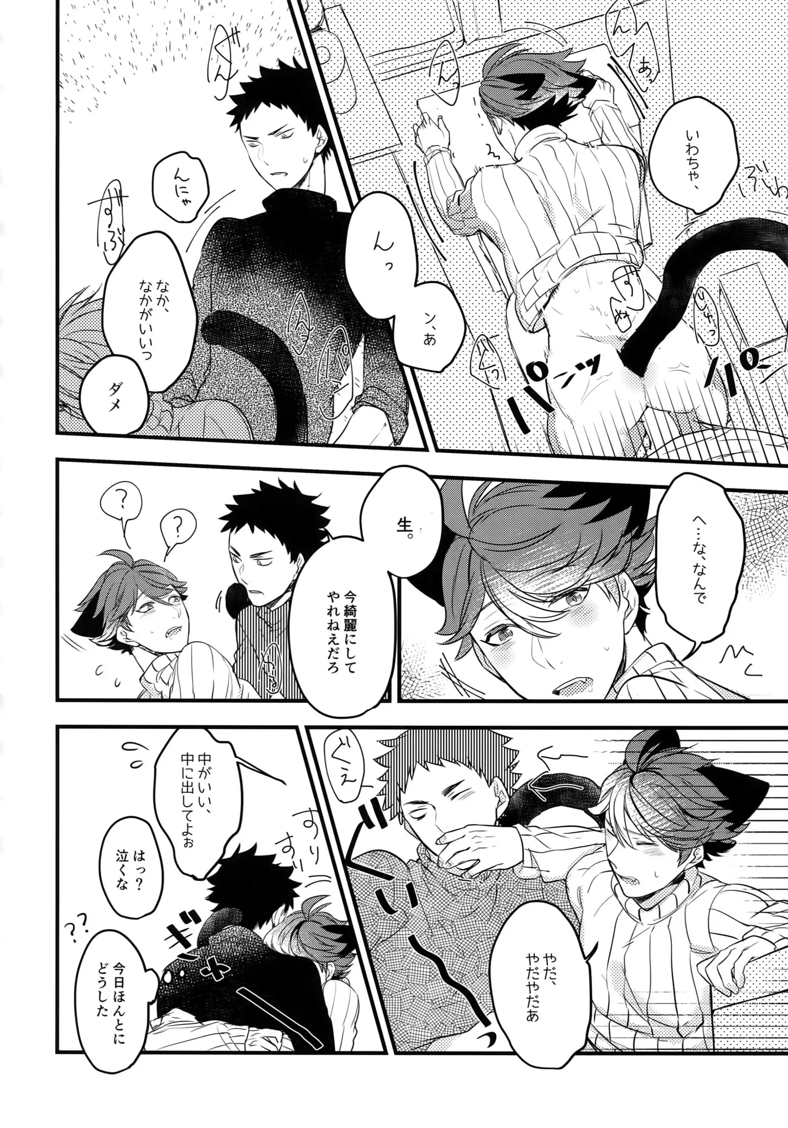 Iwachan no Neko ni Naritai Sairoku-Shuu