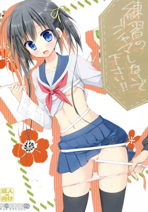 Renshuu no Jama Shinaidekudasai!!