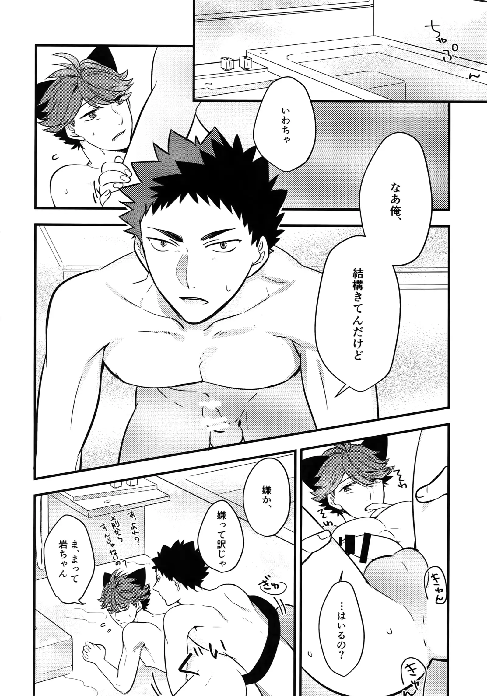 Iwachan no Neko ni Naritai Sairoku-Shuu