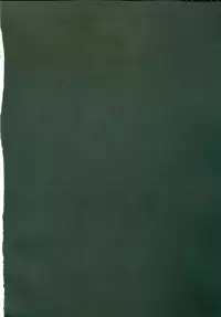 (C72) [Houenken (Inase Shinya)] RASENN-HIMEHAJIME (Tengen Toppa Gurren Lagann)