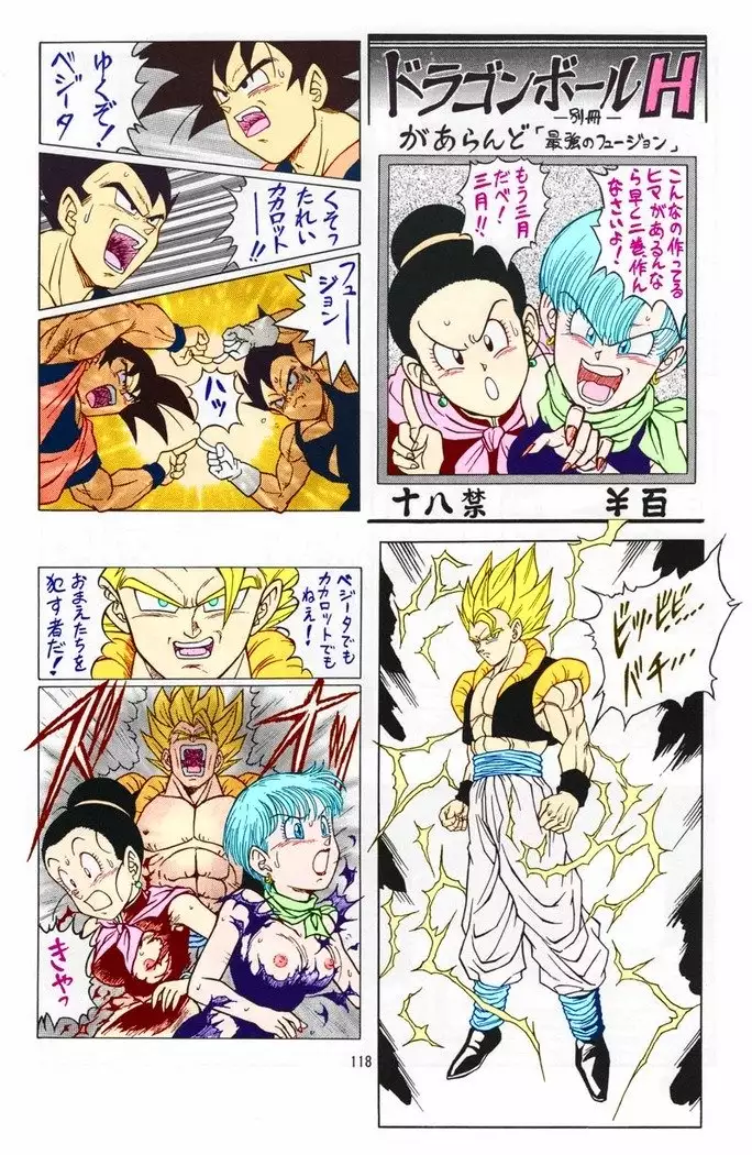 DRAGONBALL H Bessatsu Soushuuhen