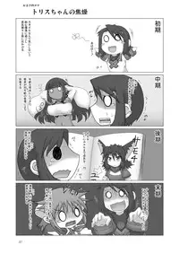 (C82) [Fukakutei Kuukan (aruva)] Genjuu Kaigi 4 (Summon Night 2)