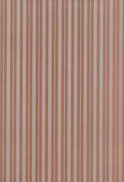 Baji-san no Osewa wa Ore ga Suru ssu!