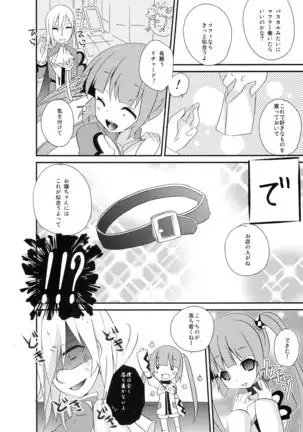 Tadashii Nyanko no Shitsukekata